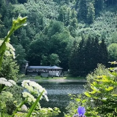 Sloneczny Dom Nad Jeziorem Bystrzyckim * Zagórze Śląskie